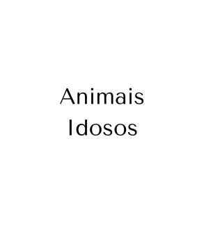 Idosos e disfunção cognitiva (Alzheimer canino): orientação para rotina, sono, desorientação e bem-estar emocional, com ajustes práticos em casa. Jundiaí e online.